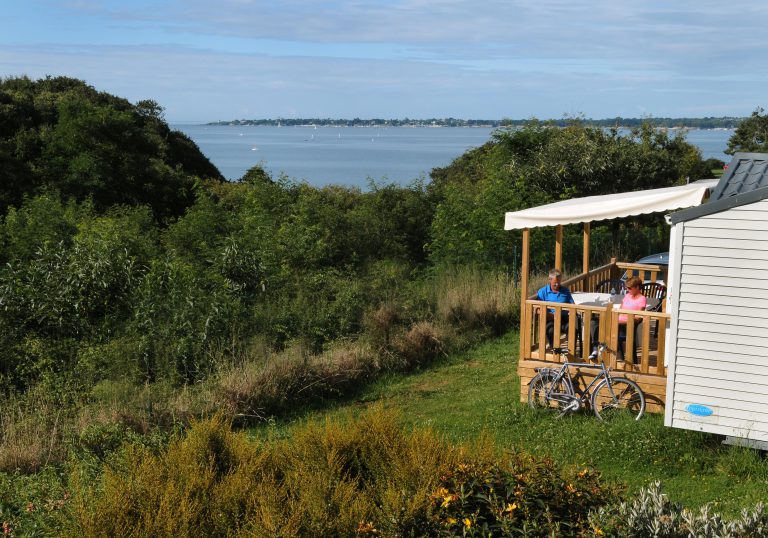 000003551851 768x538