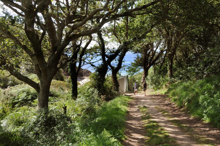 000003551941 768x510