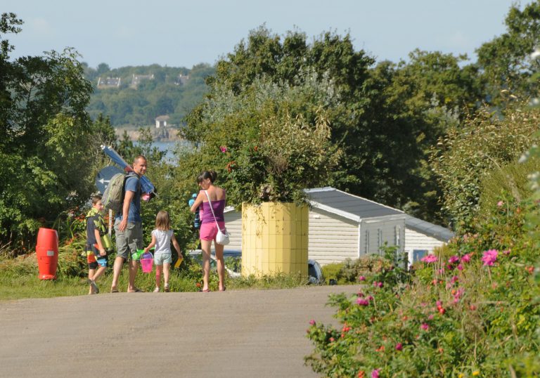 000003552011 768x538