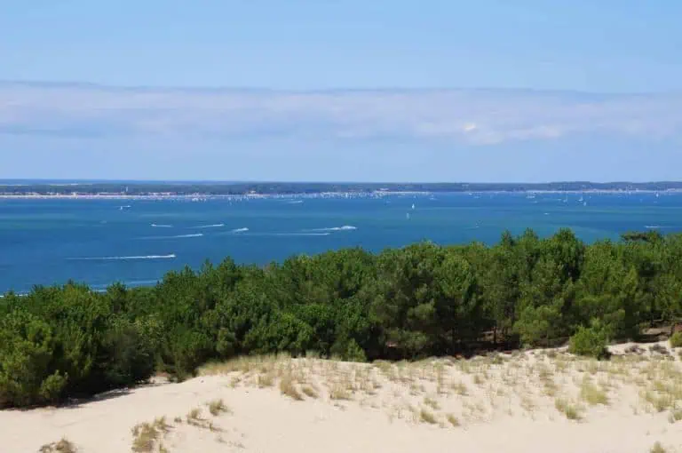 00000369348 1 768x510