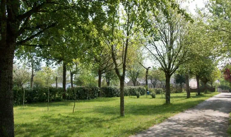 00000371290 1 768x455