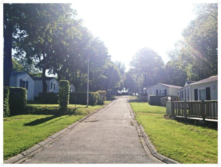 000003733981 768x582