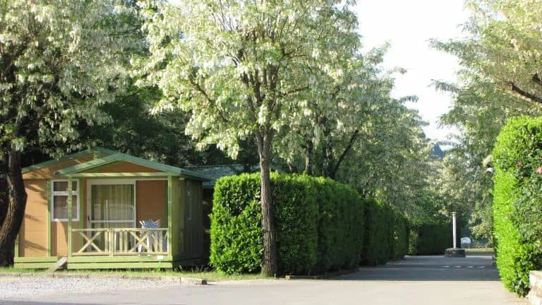 00000390518 1 scaled 768x432