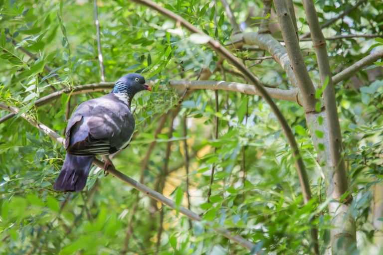 000004028471 768x512