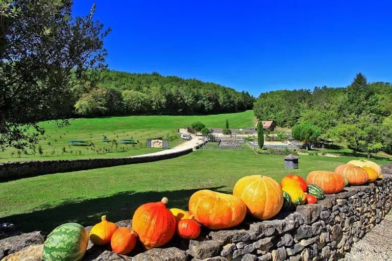 00000427951 1 768x512