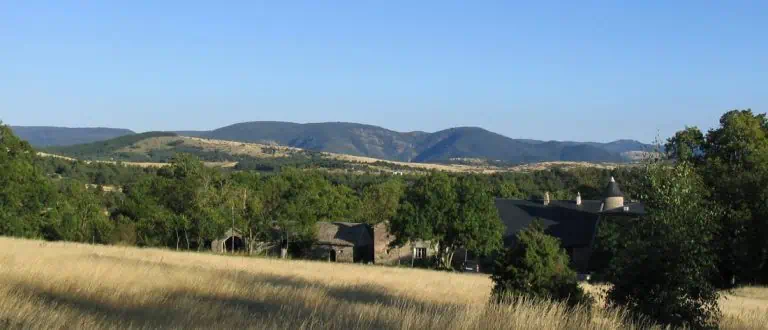 00000440641 1 768x330