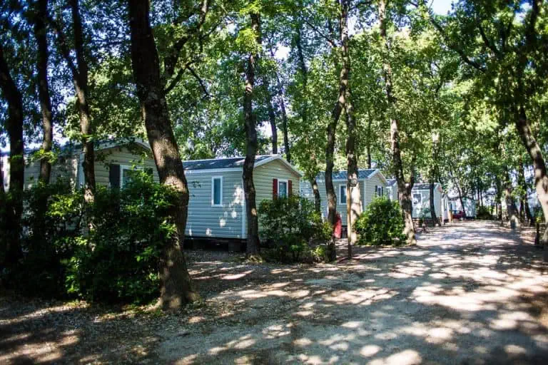 00000453691 1 768x512