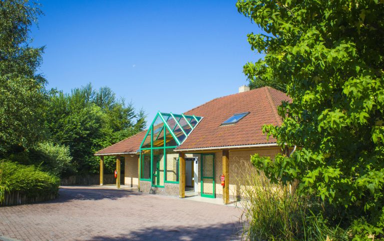 000004548151 768x483