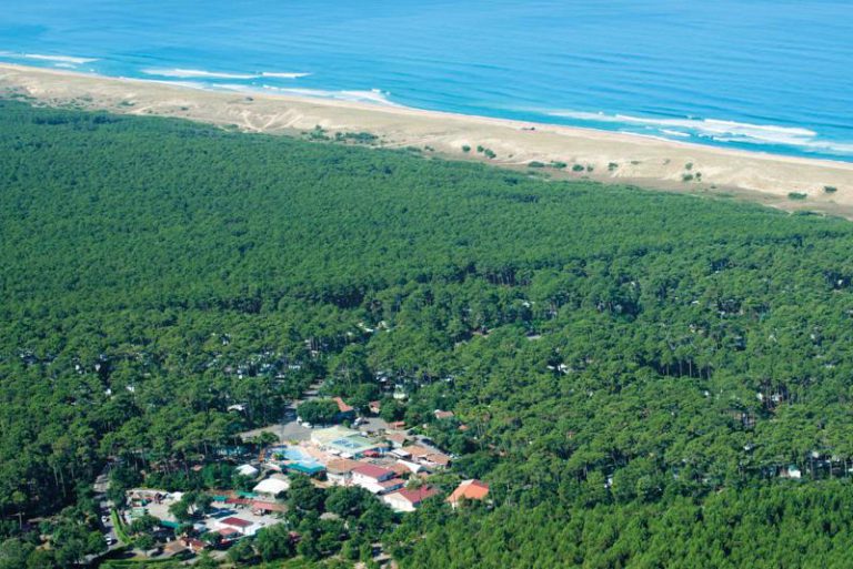 000004871161 768x513