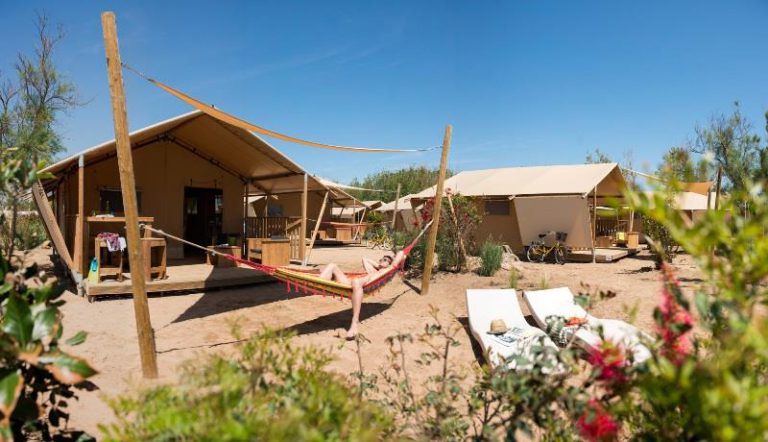 000004871761 768x442