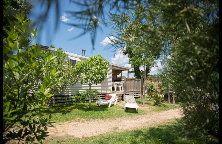 000004883651 768x499