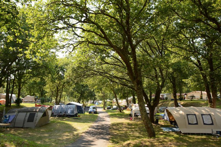 000004885071 768x512