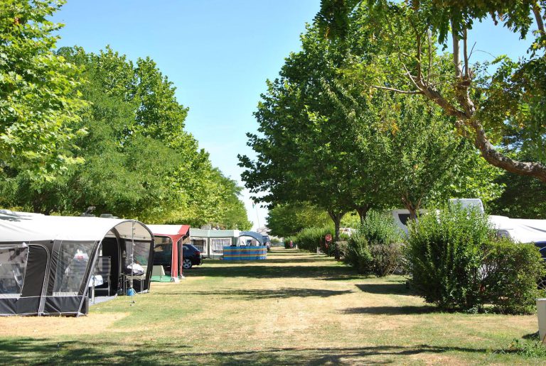 000004885101 768x516