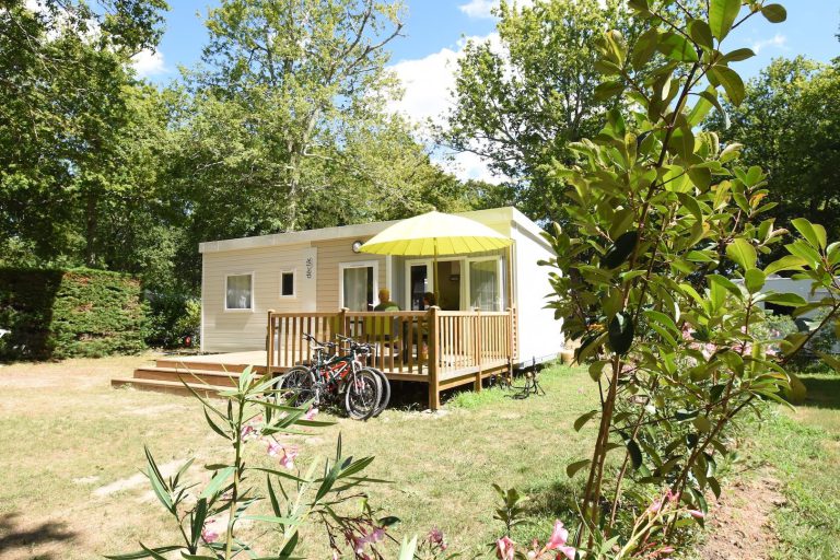 000004885181 768x512