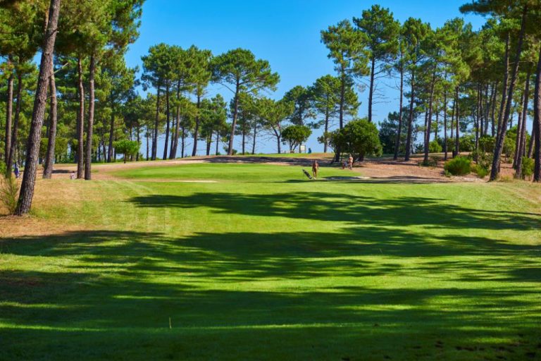 000004890931 768x512