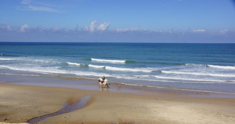 000004946031 768x405