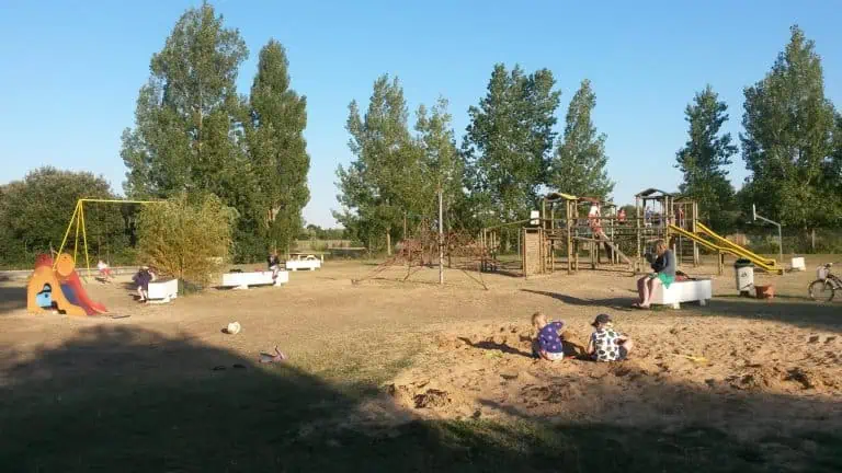 00000497980 1 scaled 768x432