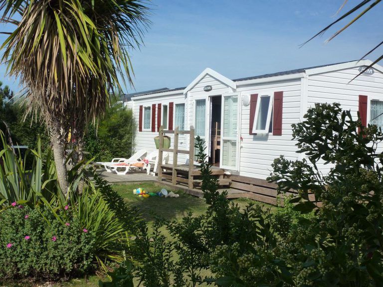 000005038791 768x576