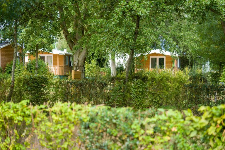 000005849181 768x513