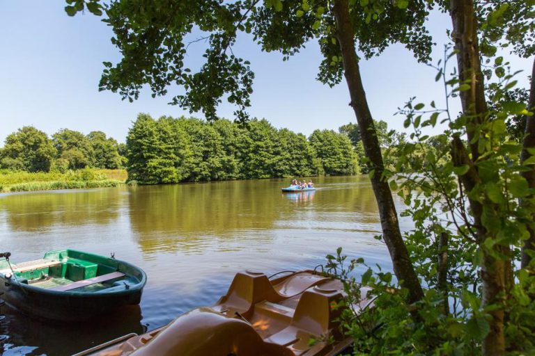 000005870011 768x512