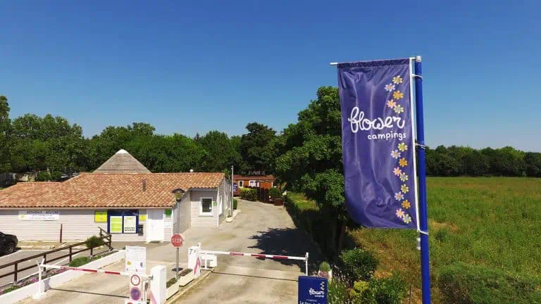 00000659182 1 scaled 768x432