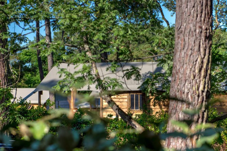 000007308811 768x512