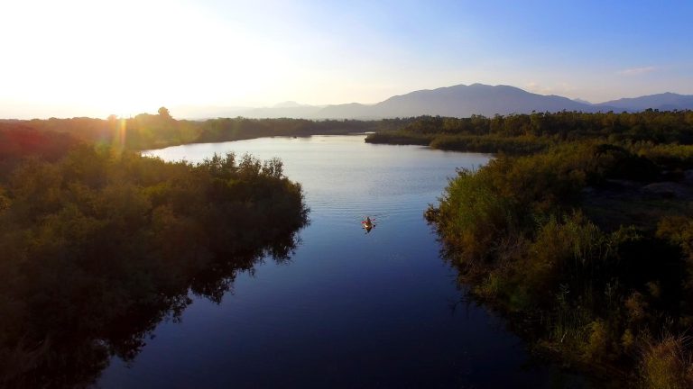 000007733151 768x432