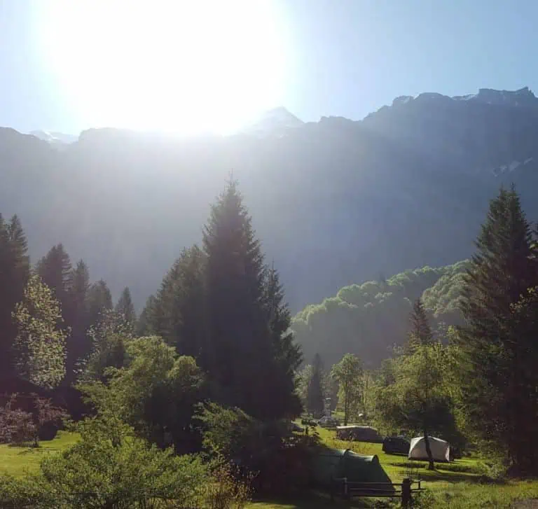 00000779512 1 768x727