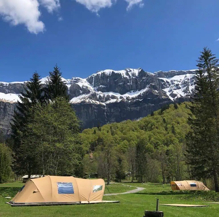 00000779525 1 768x761