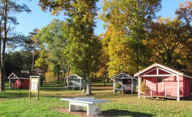 00000783813 1 768x470