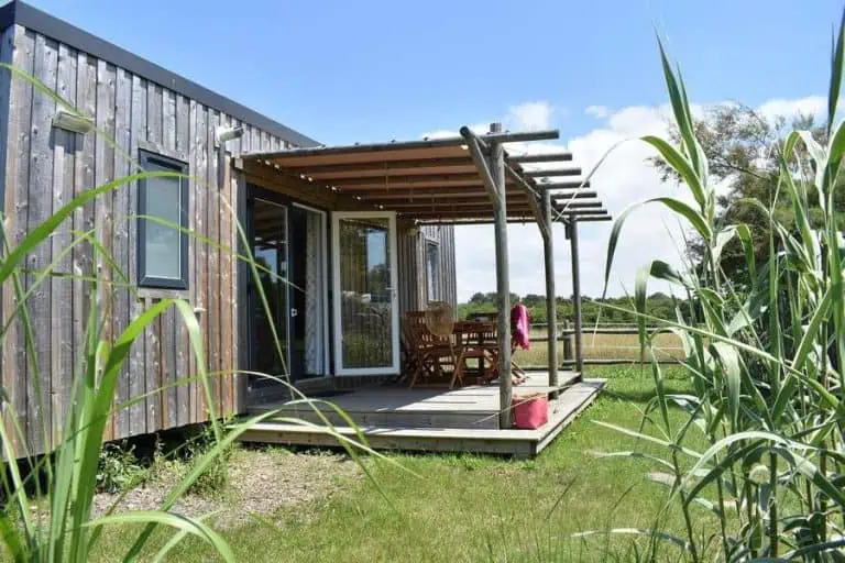 00000788085 1 768x512