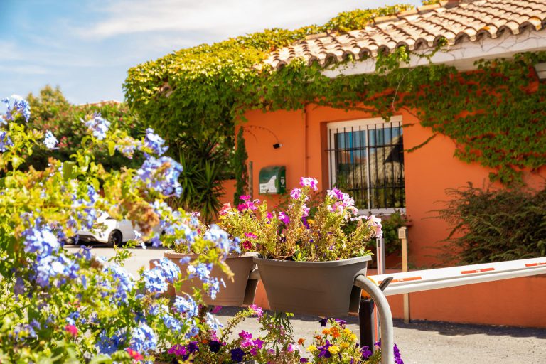 000008354911 768x512