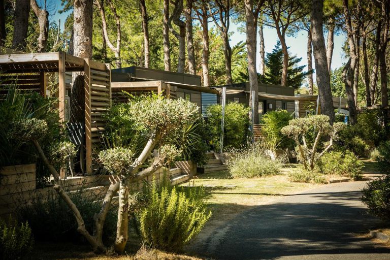 000008357851 768x512