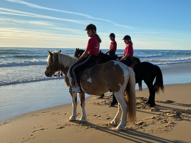 000008361901 768x576