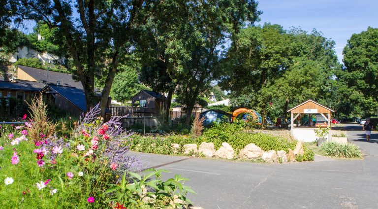 000008600911 768x424