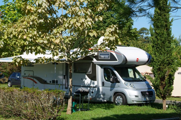 000008781931 768x512