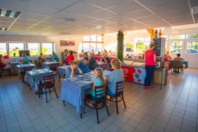 000009008231 768x512