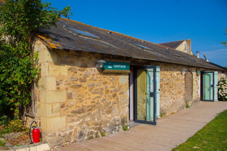 000009036991 768x512