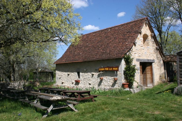 000009074111 768x512