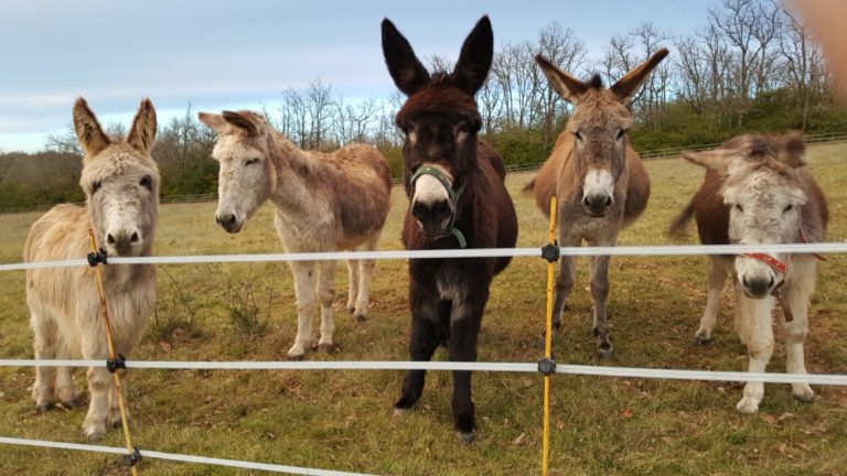 000009074171 768x432