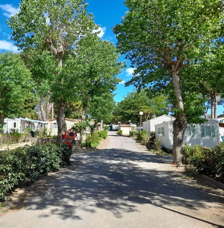 00000942539 1 scaled 768x783