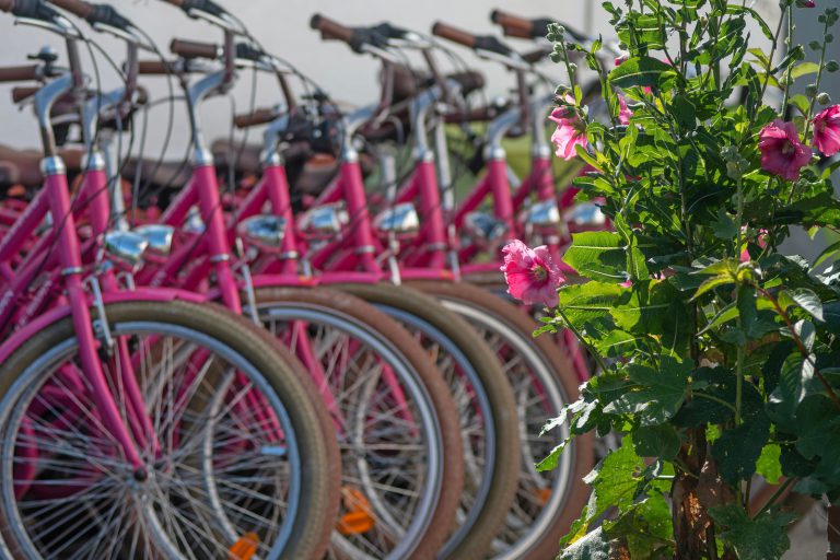 000009503711 768x512