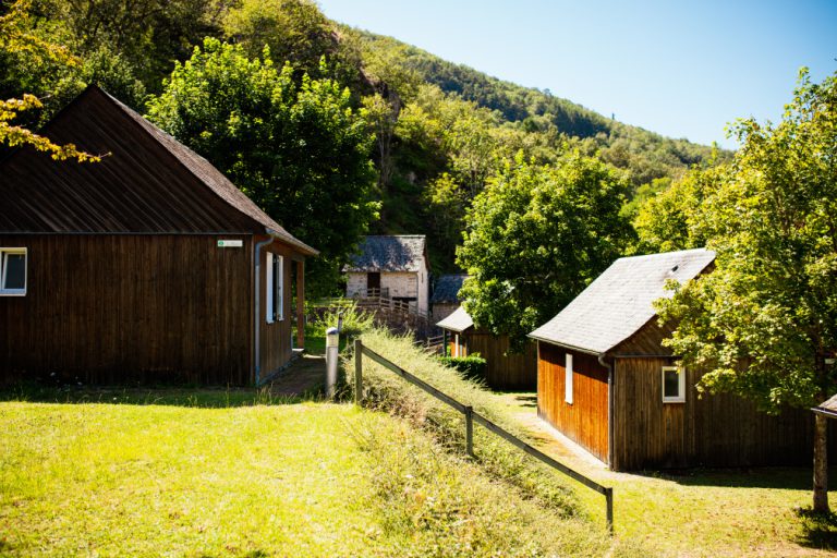 000009719741 768x512