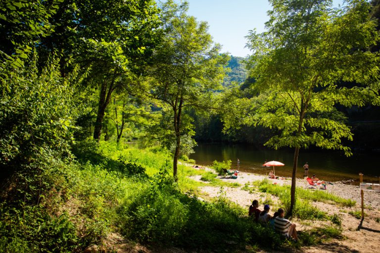 000009719751 768x512