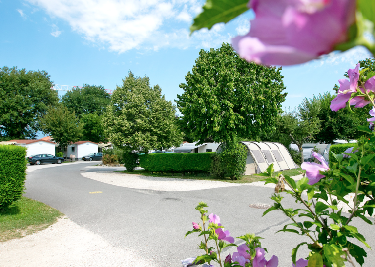 000009748801 768x548