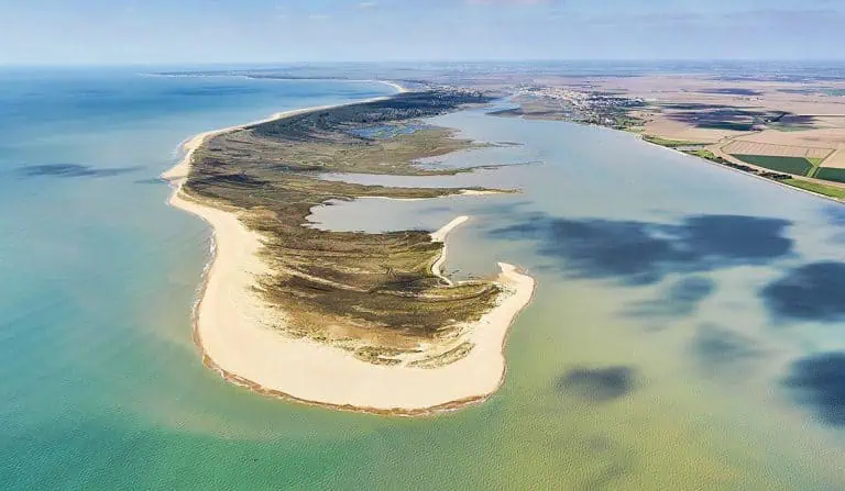 00000982130 1 768x447