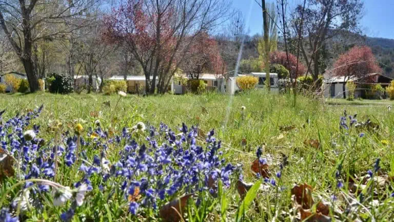 00000984586 1 768x432