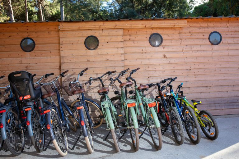 000009937661 768x512