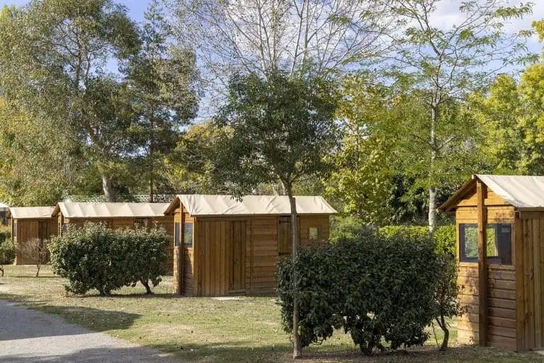 00001008846 1 768x513