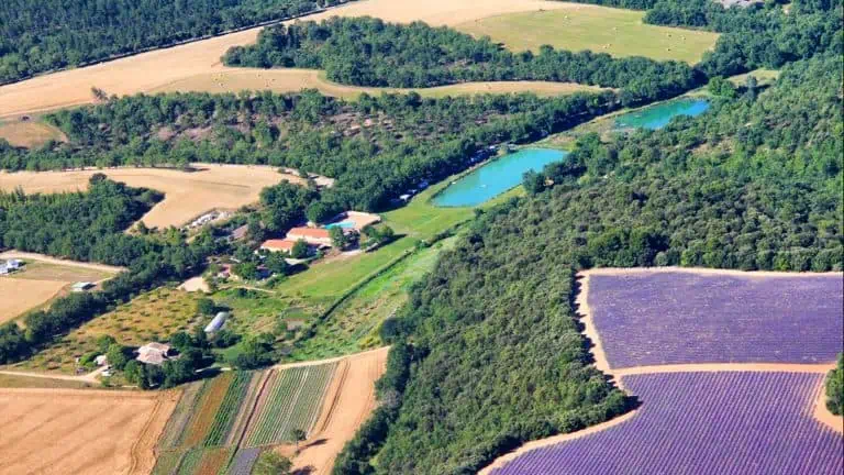 00001029588 1 768x432